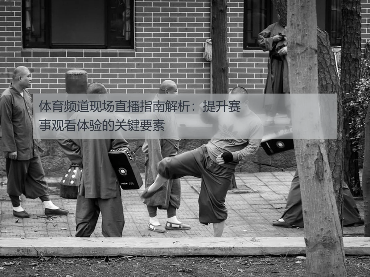 体育频道现场直播指南解析：提升赛事观看体验的关键要素